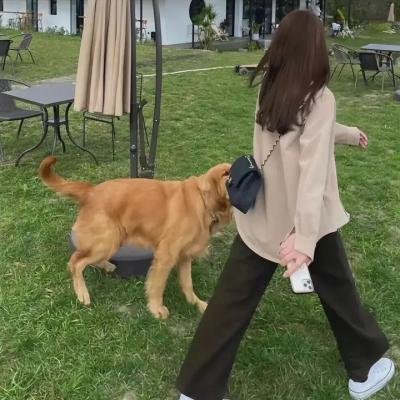 大市民